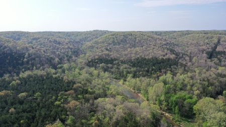 360 ± Acre Current River Estate for Sale in Dent County, MO - image 40