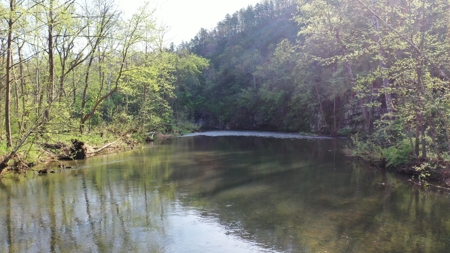 360 ± Acre Current River Estate for Sale in Dent County, MO - image 30