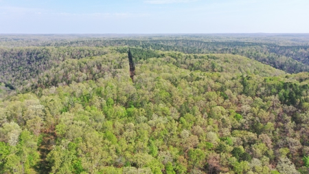 360 ± Acre Current River Estate for Sale in Dent County, MO - image 46