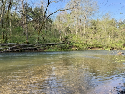 360 ± Acre Current River Estate for Sale in Dent County, MO - image 18