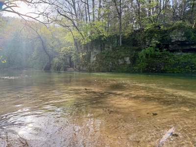 360 ± Acre Current River Estate for Sale in Dent County, MO - image 19