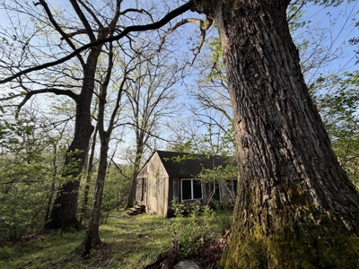 360 ± Acre Current River Estate for Sale in Dent County, MO - image 12