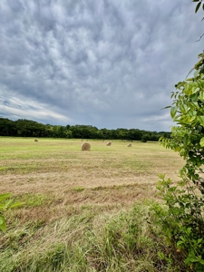 189 acre Cattle Farm in Bismarck, AR - image 38
