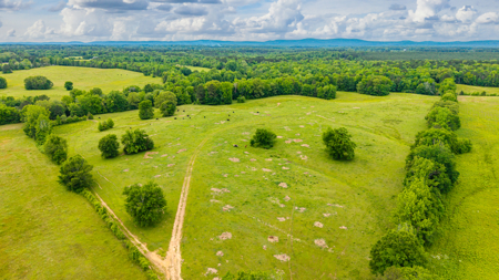 189 acre Cattle Farm in Bismarck, AR - image 31