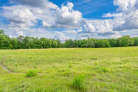 189 acre Cattle Farm in Bismarck, AR - image 3