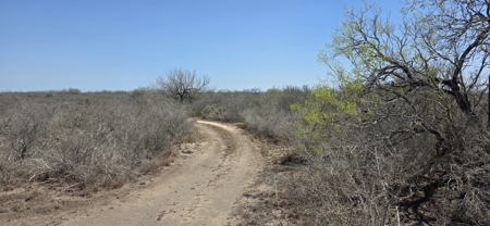 Texas with this 27-acre ranch, where native wildlife and wide-ope - image 1