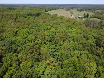 Hardwood Haven: 7 Scenic Acres of Virginia Timberland - image 5