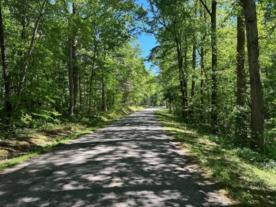 Hardwood Haven: 7 Scenic Acres of Virginia Timberland - image 24