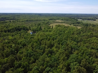 Hardwood Haven: 7 Scenic Acres of Virginia Timberland - image 2