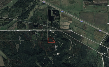 Where Towering Pines, Quiet Trails & Country Dreams Meet — 5.92 A - image 42