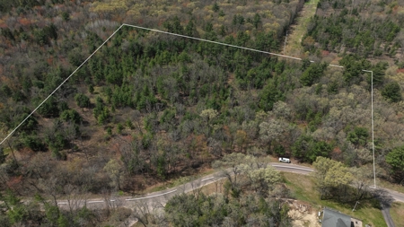 Where Towering Pines, Quiet Trails & Country Dreams Meet — 5.92 A - image 2