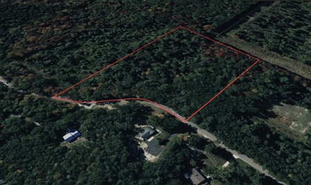 Where Towering Pines, Quiet Trails & Country Dreams Meet — 5.92 A - image 44