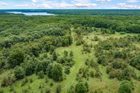 788 ± Acres Yantis Texas - Lake Fork Waterfront - Untouched Land - image 14