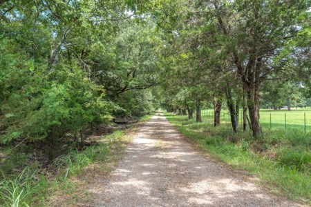 788 ± Acres Yantis Texas - Lake Fork Waterfront - Untouched Land - image 2