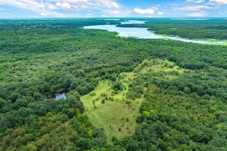 788 ± Acres Yantis Texas - Lake Fork Waterfront - Untouched Land - image 11