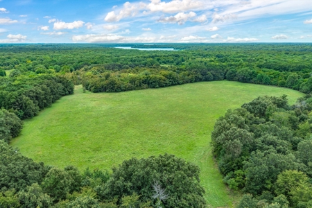 788 ± Acres Yantis Texas - Lake Fork Waterfront - Untouched Land - image 16