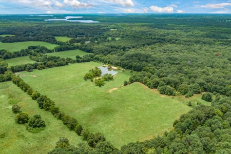 788 ± Acres Yantis Texas - Lake Fork Waterfront - Untouched Land - image 3