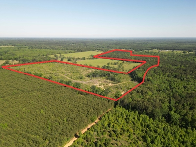 ±92 Acres Hunting & Timber Land in East TX - image 21