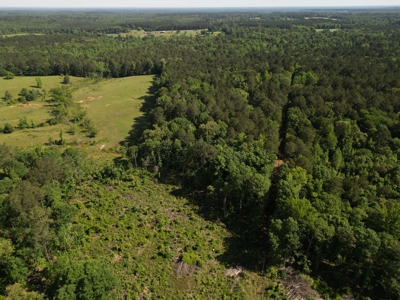 ±92 Acres Hunting & Timber Land in East TX - image 6