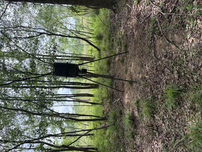 ±92 Acres Hunting & Timber Land in East TX - image 22