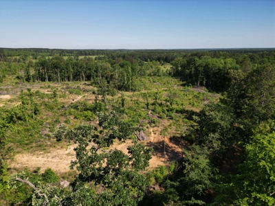 ±92 Acres Hunting & Timber Land in East TX - image 12