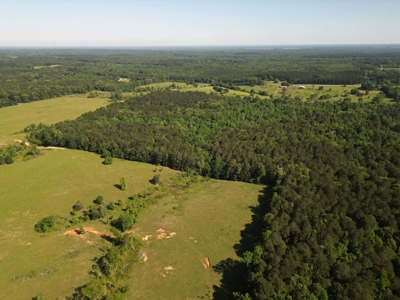 ±92 Acres Hunting & Timber Land in East TX - image 7