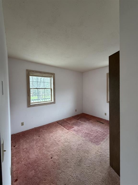 No Caption