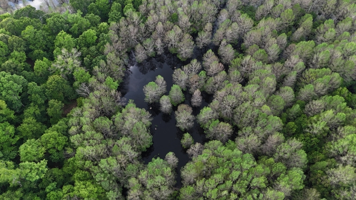 Saline Lake Hunting Property and Lodge Winn Parish LA