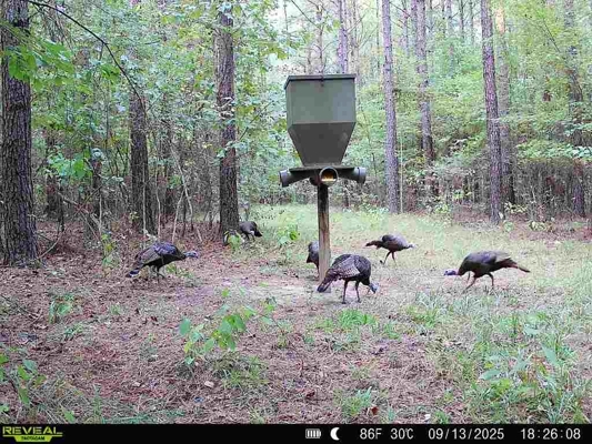 Saline Lake Hunting Property and Lodge Winn Parish LA