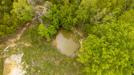 2+ Acres with Utilities | Ozark County - image 6