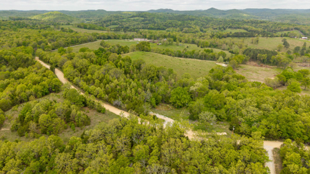 2+ Acres with Utilities | Ozark County - image 4