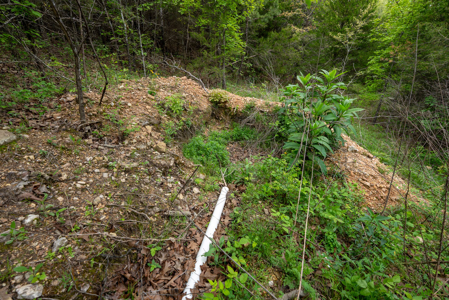 2+ Acres with Utilities | Ozark County - image 13