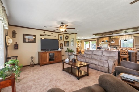 Country Home for Sale in Benton County - image 12