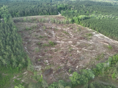 Cleared Land W/ Creek Drain W/ Road for Sale near Chidester, AR - image 5