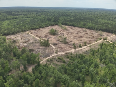 Locust Bayou Timberland Investment Property! - image 2