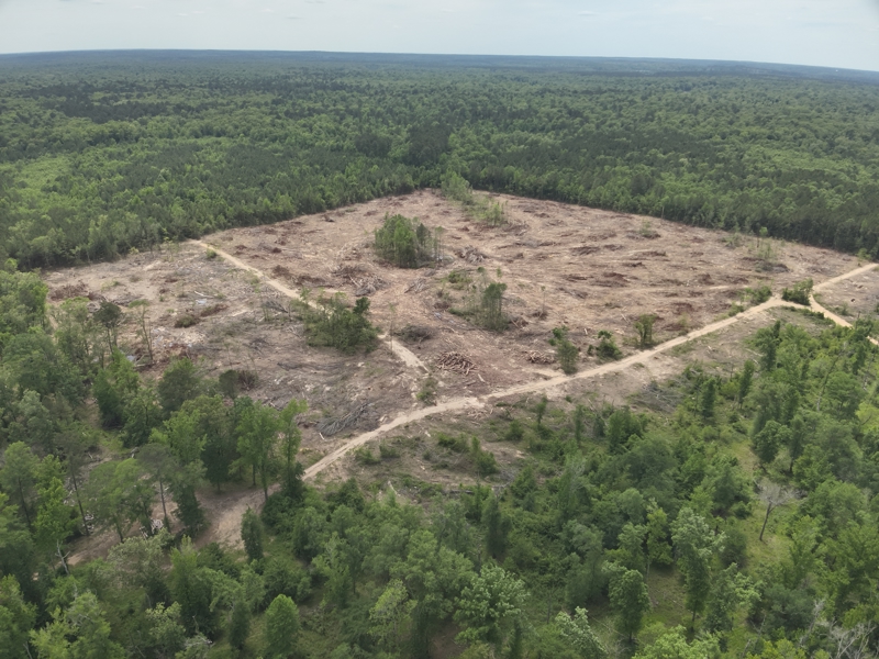 No Caption