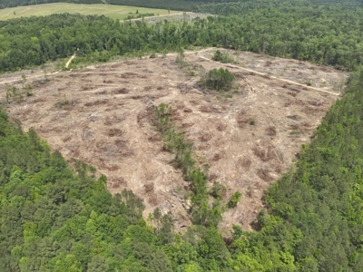 Locust Bayou Timberland Investment Property! - image 7