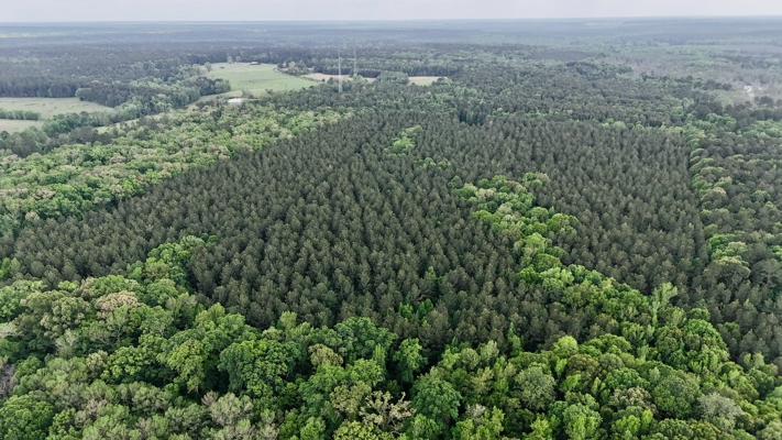 Hunting land with a Camp on Saline Lake Winn Parish LA