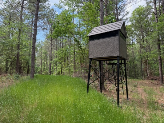 Hunting land with a Camp on Saline Lake Winn Parish LA