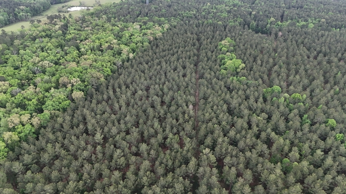 Hunting land with a Camp on Saline Lake Winn Parish LA