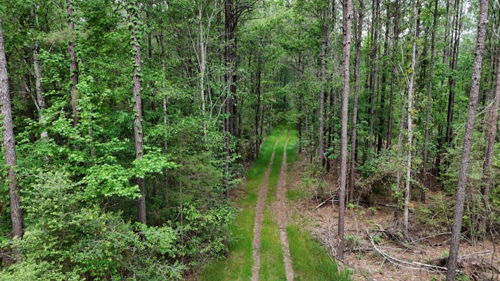 Hunting land with a Camp on Saline Lake Winn Parish LA