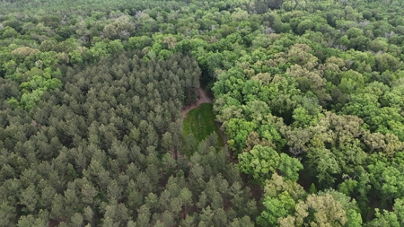 Hunting land with a Camp on Saline Lake Winn Parish LA - image 7