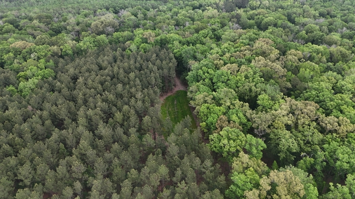 Hunting land with a Camp on Saline Lake Winn Parish LA
