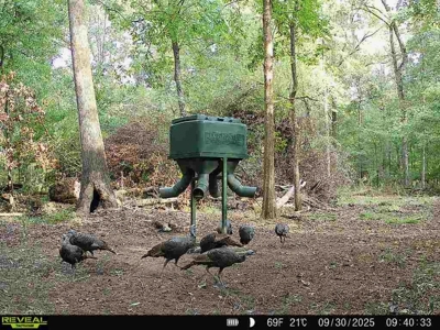 Hunting land with a Camp on Saline Lake Winn Parish LA - image 37