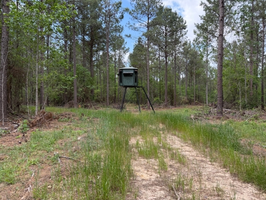 Hunting land with a Camp on Saline Lake Winn Parish LA