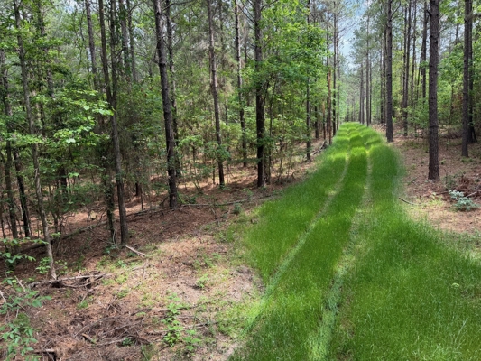 Hunting land with a Camp on Saline Lake Winn Parish LA