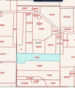 Remote Hunting Land With Creek & Timber Driving Distance from DFW - image 14