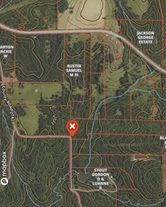 Remote Hunting Land With Creek & Timber Driving Distance from DFW - image 13