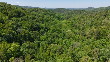 Hunting Land For Sale In North Central Arkansas - image 6