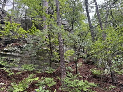 Hunting Land For Sale In North Central Arkansas - image 13